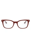 Ray Ban 53mm Optical Glasses In Brown Gradient
