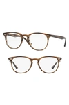 Ray Ban 50mm Optical Glasses - Striped Brown