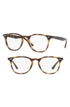 Ray Ban 52mm Optical Glasses In Havana