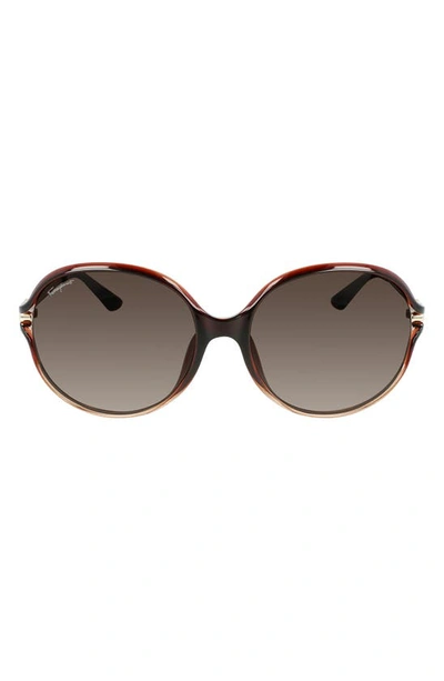 Ferragamo Salvatore  60mm Oval Sunglasses In Brown Gradient
