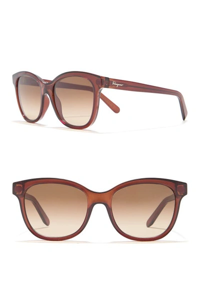 Ferragamo 55mm Plastic Cat Eye Sunglasses In Crystal Brown