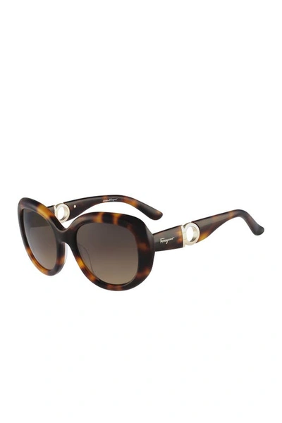 Ferragamo 53mm Oversized Sunglasses In Havana Brn