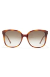 Ferragamo 56mm Square Sunglasses In Tortoise