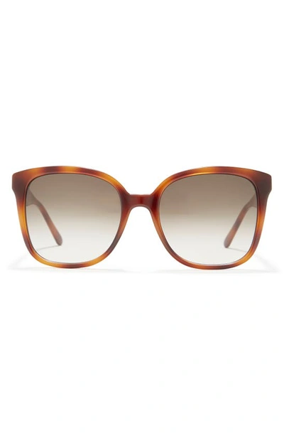 Ferragamo 56mm Square Sunglasses In Tortoise