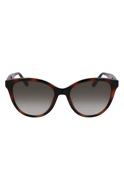Ferragamo 54mm Cat Eye Sunglasses In Tortoise