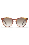 Ferragamo 52mm Tea Cup Sunglasses In Tortoise