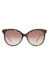Kate Spade Kinsley 55mm Cat Eye Sunglasses In Dark Havana / Brown Gradient