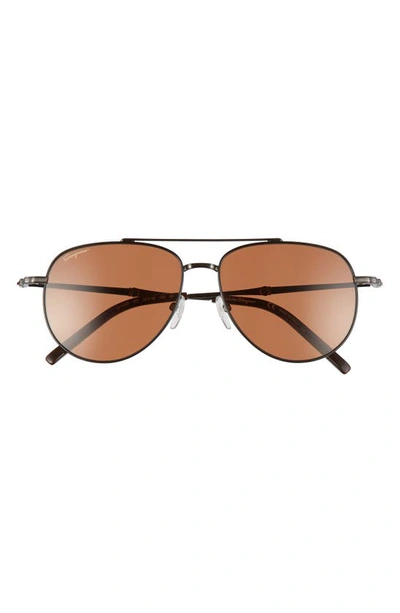 Ferragamo Salvatore  58mm Aviator Sunglasses In Brown