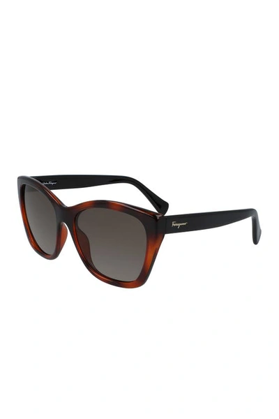 Ferragamo 56mm Square Cateye Sunglasses In Tortoise