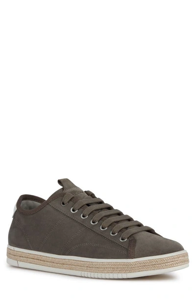 Geox Pieve Canvas Sneaker In Dove Grey