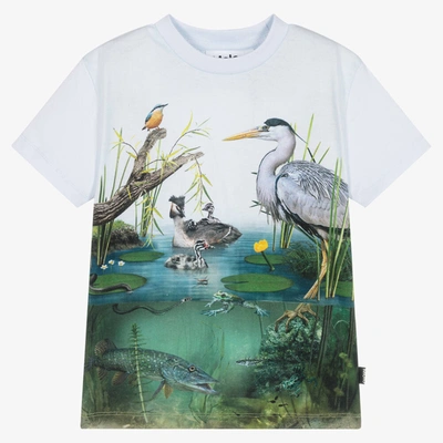 Molo Babies' Boys Blue Cotton Pond T-shirt