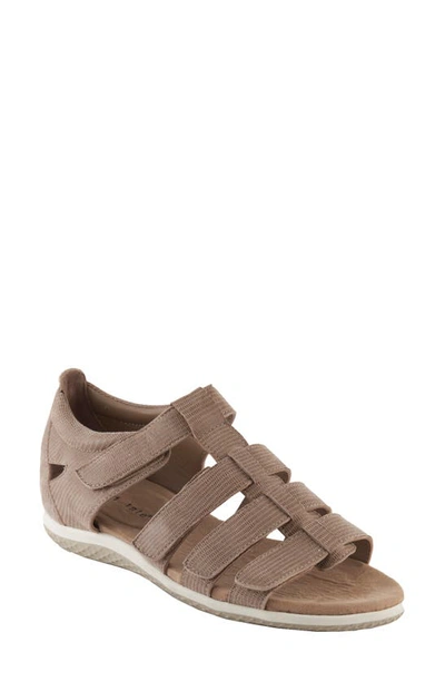 David Tate Shala Strappy Sport Sandal In Taupe Lizard Print Leather