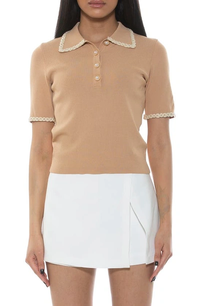 Alexia Admor Collared Knit Short Sleeve Top In Beige