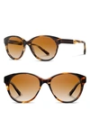 Shwood 'madison' 54mm Polarized Sunglasses - Tortoise/ Ebony/ Brown Polar