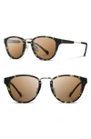 Shwood 'ainsworth' 49mm Polarized Sunglasses - Darkforest/ Gold/ Brown Polar