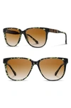 Shwood 'mckenzie' 57mm Retro Sunglasses - Darkforest/ Elm/ Brown