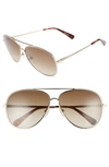 Longchamp Women's Roseau Family Brow Bar Aviator Sunglasses, 55mm In Gold/ Bourbon