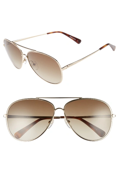 Longchamp Women's Roseau Family Brow Bar Aviator Sunglasses, 55mm In Gold/ Bourbon