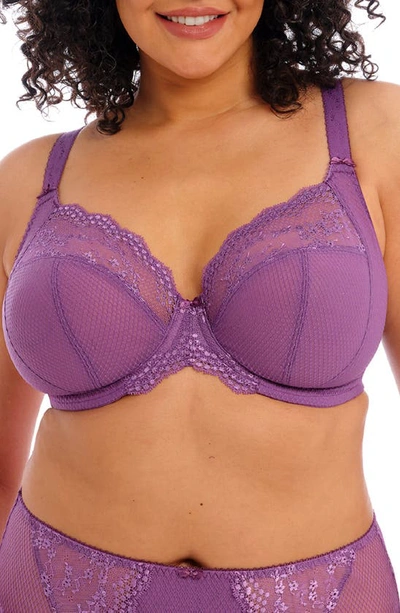 Elomi Charley Full Figure Underwire Convertible Plunge Bra In Pansy