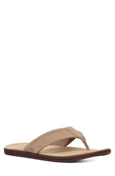 Ugg Seaside Flip Flop In Dune