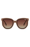 Oat/ Brown Polarized