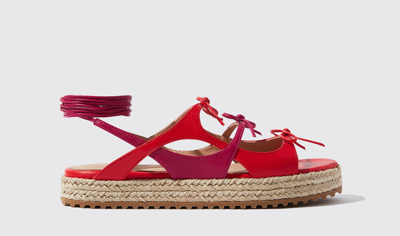 Scarosso Sweet Lace Sandals In Multicolor - Calf