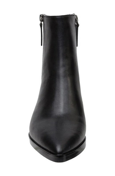 Linea Paolo Viva Bootie In Black