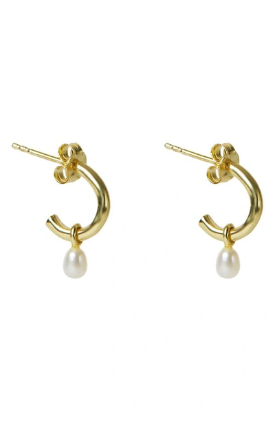 Argento Vivo Freshwater Pearl Hoop Earrings In Gold