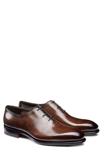 Santoni People Plain Toe Oxford In Dark Brown