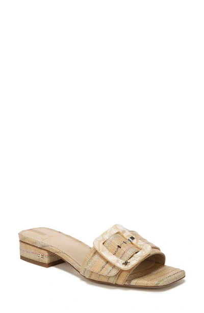 Sam Edelman Deacon Slide Sandal In Natural Multi