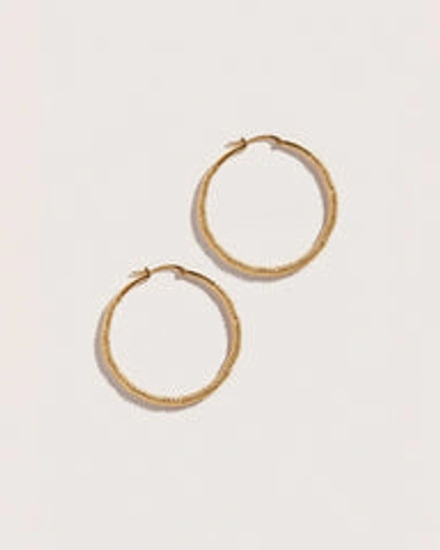 Fashion Ondine Hoops In Gold