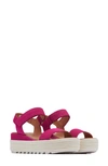 Sorel Women's Cameron Ankle-strap Platform Sandals Women's Shoes In Multi
