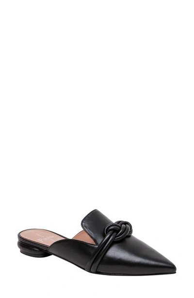 Linea Paolo Azelia Pointed Toe Mule In Black