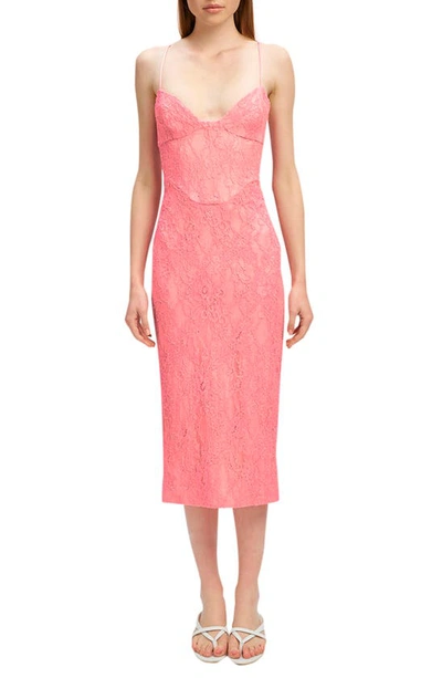 Bardot Hadley Lace Midi Dress In Petal Pink