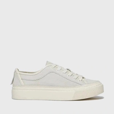 Allsaints Milla Suede Sneaker In White