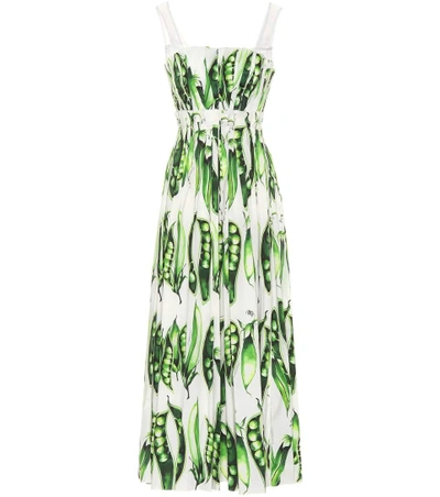 Dolce & Gabbana Printed Stretch-cotton Dress In White