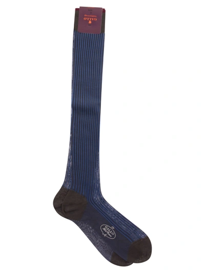 Gallo Cotton Long Socks In Bluette