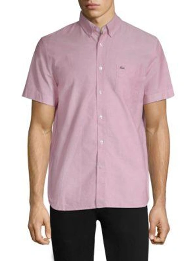 Lacoste Regular-fit Oxford Short-sleeve Shirt In Sierra