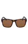 Cole Haan 55mm Polarized Square Sunglasses In Tortoise