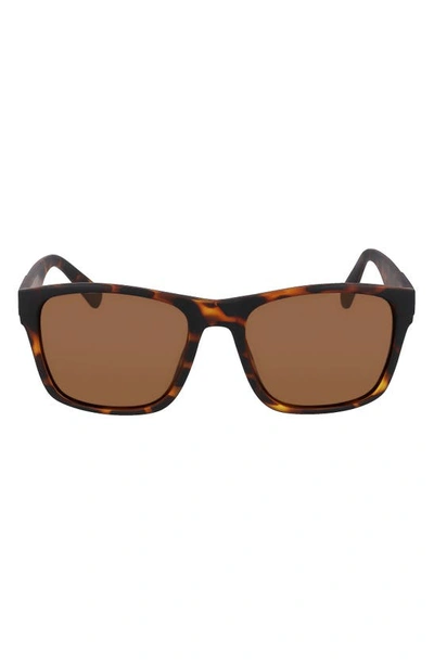 Cole Haan 55mm Polarized Square Sunglasses In Tortoise