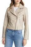 Sam Edelman Leather Moto Jacket In Dune