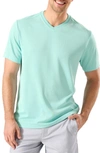 Tommy Bahama Coastal Crest Islandzone® V-neck T-shirt In Hummingbird
