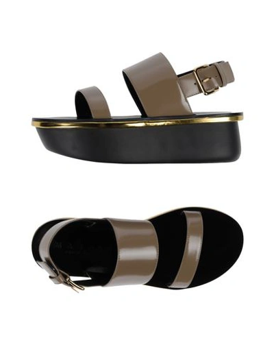 Marni Sandals In Khaki