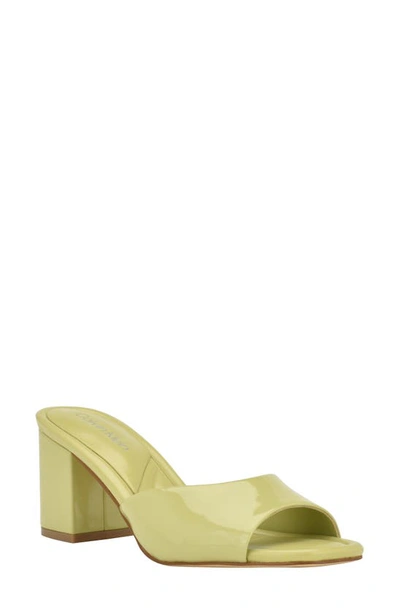 Calvin Klein Toven Slide Sandal In Light Green