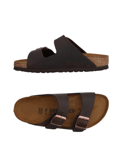Birkenstock Sandals In Dark Brown