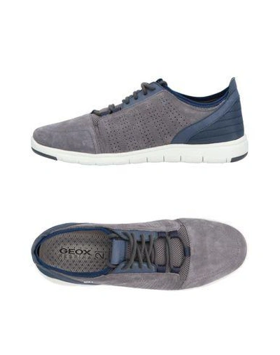 Geox Sneakers In Grey