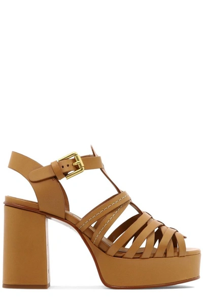 See By Chloé Sierra Leather Sandals In Brown