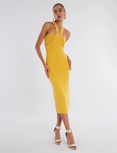 Bcbgmaxazria Abigail Halter Dress In Marigold | ModeSens