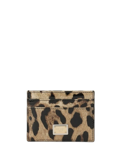 Dolce & Gabbana Brown Leopard Print Leather Card Holder In Black