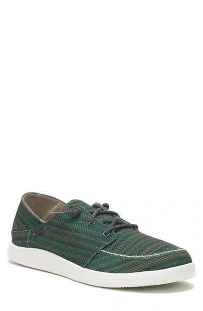 Chaco Chillos Sneaker In Bracken Olive